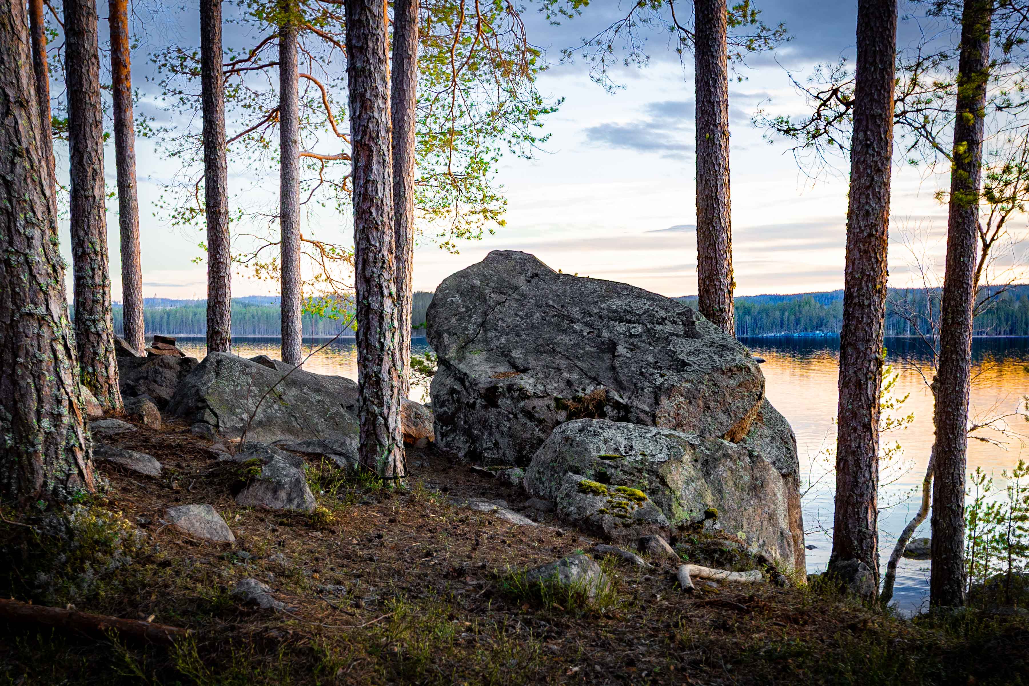 Guidning i naturen